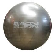 Gymnastický míč ACRA 65 cm