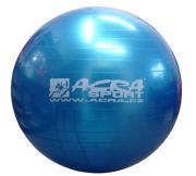 Gymnastický míč ACRA 55 cm